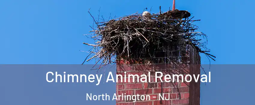  Chimney Animal Removal North Arlington - NJ