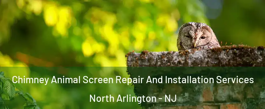  Chimney Animal Screen Repair And Installation Services North Arlington - NJ
