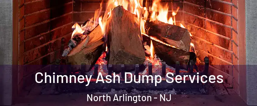  Chimney Ash Dump Services North Arlington - NJ