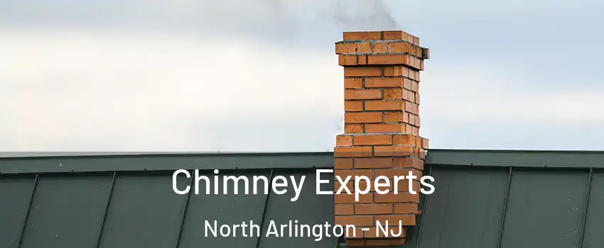  Chimney Experts North Arlington - NJ