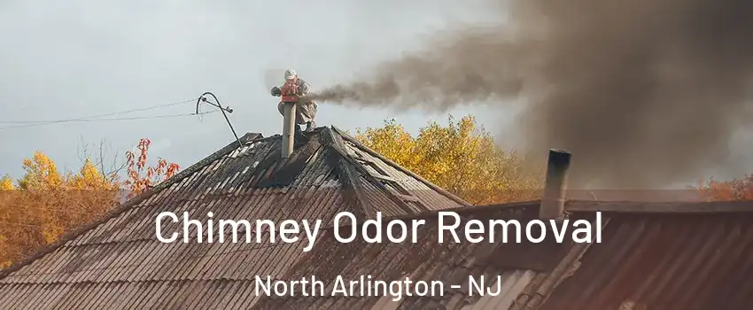 Chimney Odor Removal North Arlington - NJ