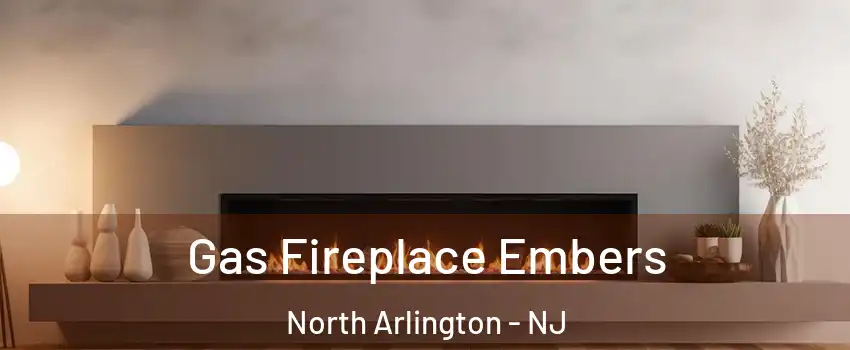  Gas Fireplace Embers North Arlington - NJ