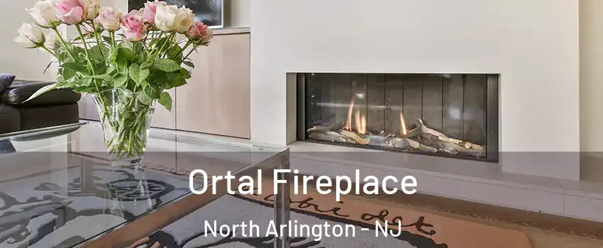  Ortal Fireplace North Arlington - NJ