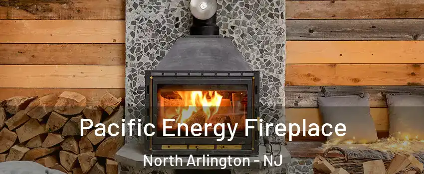  Pacific Energy Fireplace North Arlington - NJ